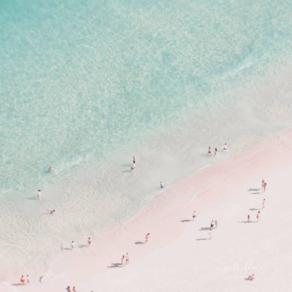 Beach Summer Dreams - People on a pink sand beach standing next to clear sea waters.