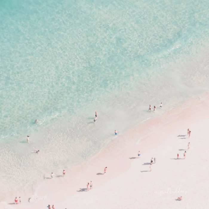 Beach Summer Dreams - People on a pink sand beach standing next to clear sea waters.