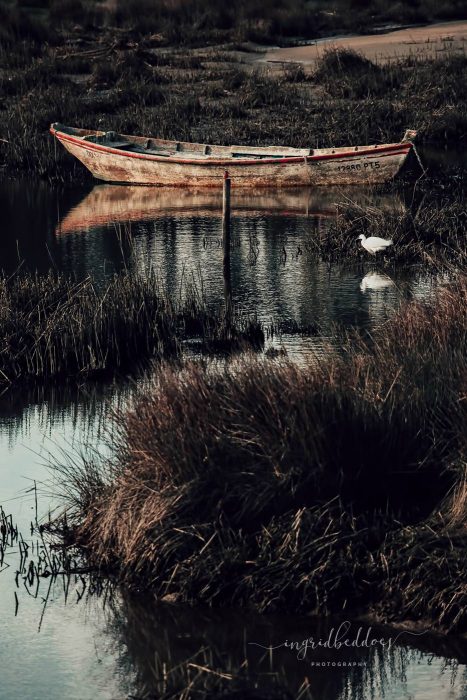 Solitude - Abandoned boat by the river bank. Small white bird feeding nearby.