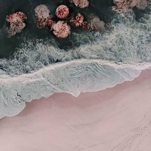 Pink sanded beach and an ocean with flowers