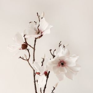 Spring White Blossom