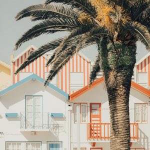 Aveiro beach houses