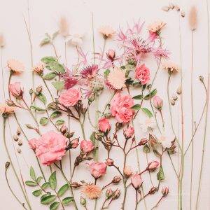 Wildflowers art print in pink tones