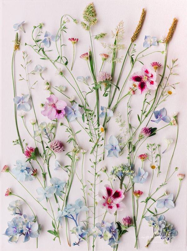 Mixed Wildflowers art print