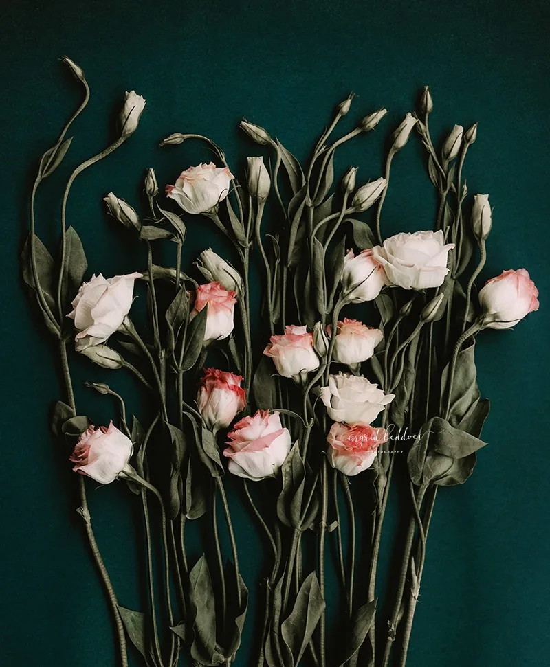 Flatlay photograph of dried roses arranged on a dark green background