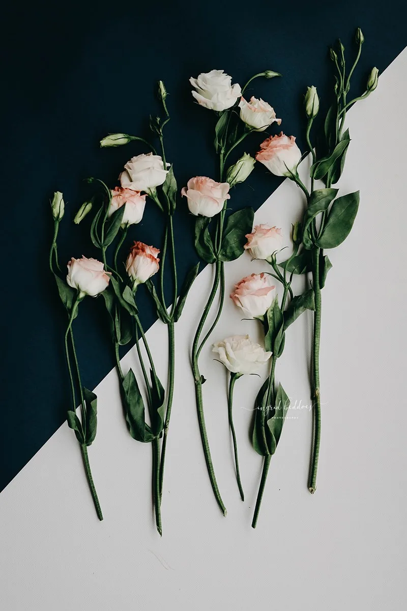 Flatlay of pink and white lisianthus flowers arranged over a two-tone background