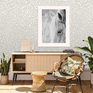 Animal Photography Prints